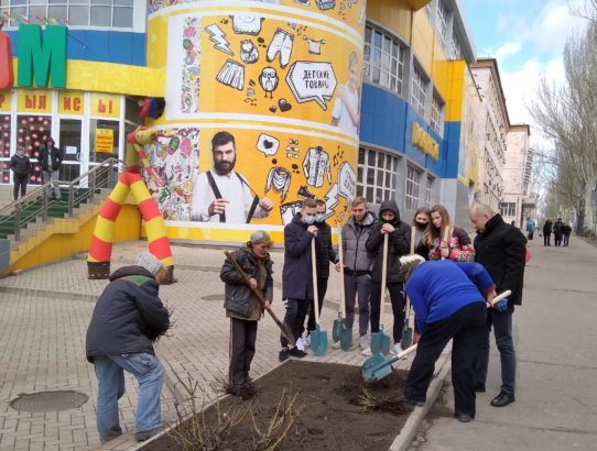 В Ворошиловском районе высадили более сотни кустов роз