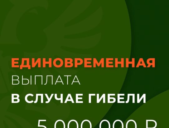 Единовременная выплата в размере 5 миллионов рублей положена семьям погибших участников СВО