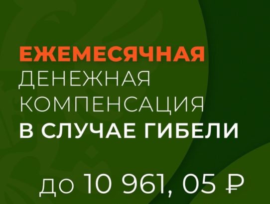 Для семей погибших участников СВО государством предусмотрена ежемесячная денежная компенсация