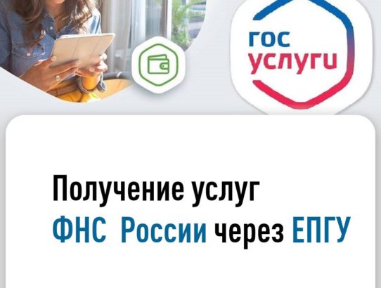 МРИ ФНС России №3 по Донецкой Народной Республике информирует: