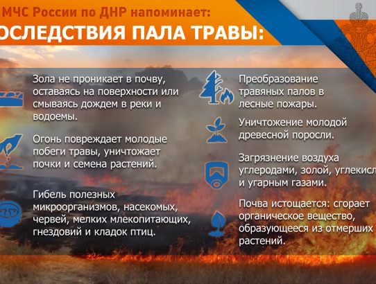 ГУ МЧС России по ДНР напоминает! Последствия пала травы