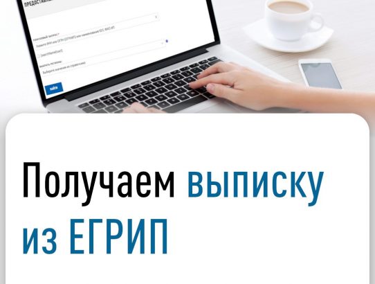 Как получить выписку из ЕГРИП
