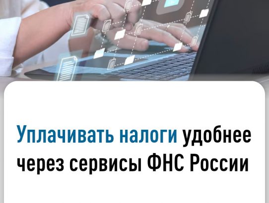 Чтобы не допустить просрочки налоговых платежей, важно правильно заполнить документ на их уплату и обеспечить наличие средств на счете для их списания.