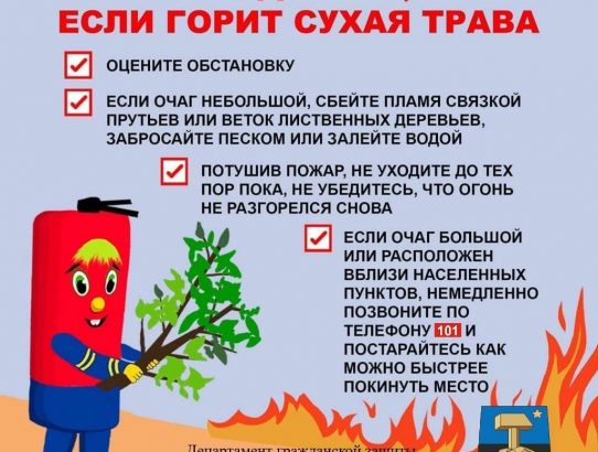Что делать, если горит сухая трава