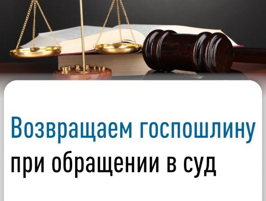 Законодательство гарантирует право плательщикам на полный или частичный возврат государственной пошлины, излишне уплаченной при подаче исковых заявлений, апелляционных и иных жалоб в судебные инстанции.
