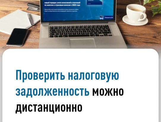 Граждане могут проверить налоговую задолженность несколькими способами