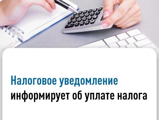 Срок уплаты имущественных налогов и НДФЛ за 2024 год истекает 1 декабря 2025 года.